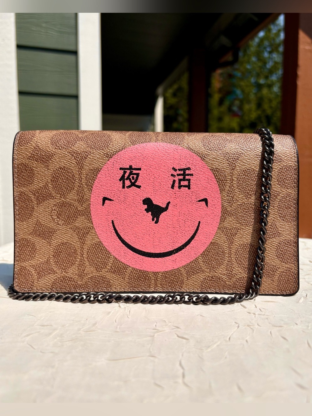 COACH Callie Chain Crossbody In Signature Canvas With REXY By Yeti Out 73824